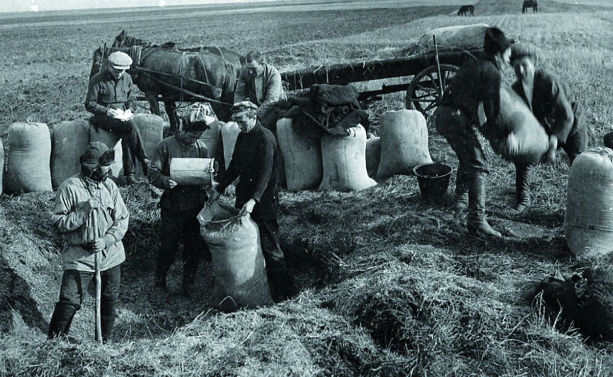 Голод в 1932 г. был организованным, но не Сталиным, а крестьянами против Сталина