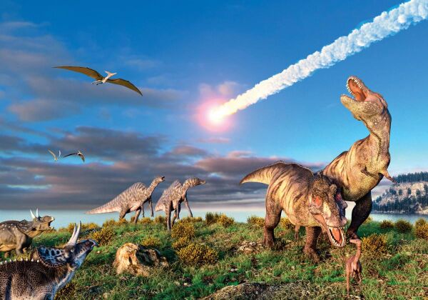 11 фактов о динозаврах, которых вы не знали